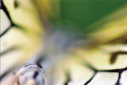 Abstract Photography Tips