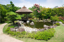 Photographing Public Gardens