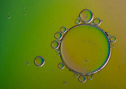 Techniques For Photographing Oil On Water