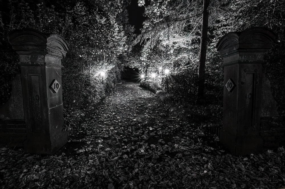 Gateway to a Garden by Spad