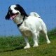 dave_56