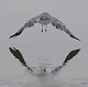 Longviewer