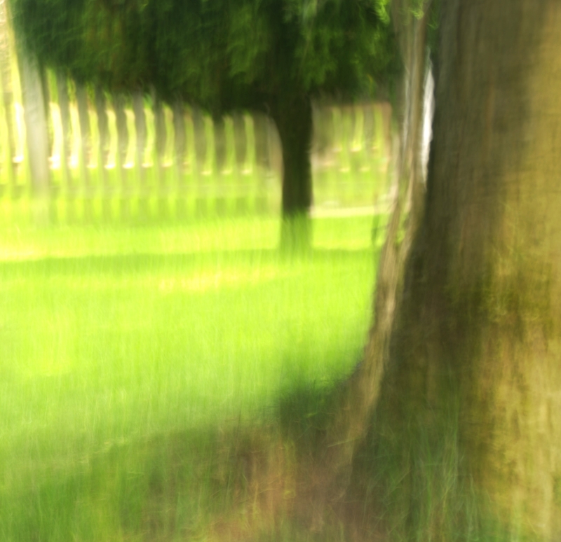 Comment Image