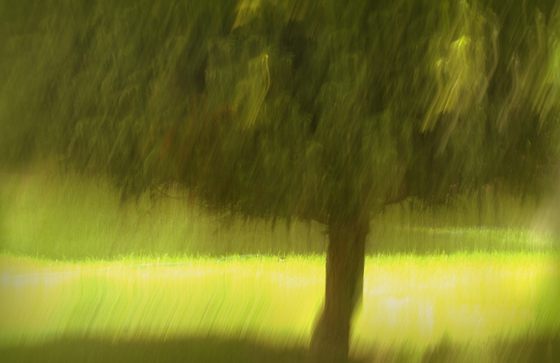 Comment Image