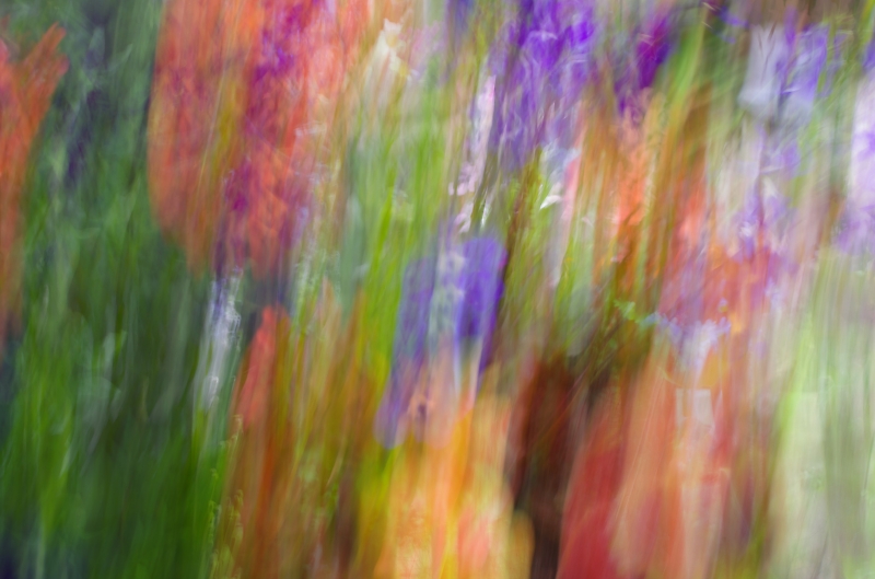 Comment Image
