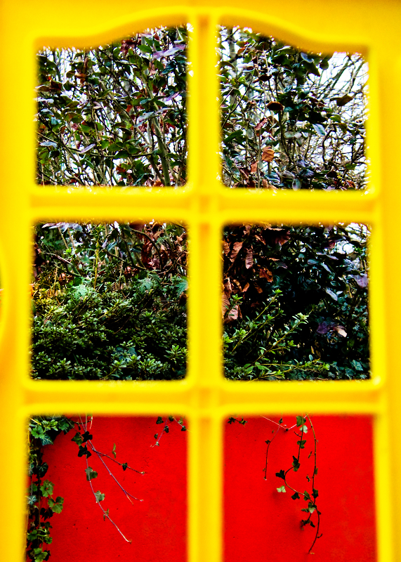 Comment Image