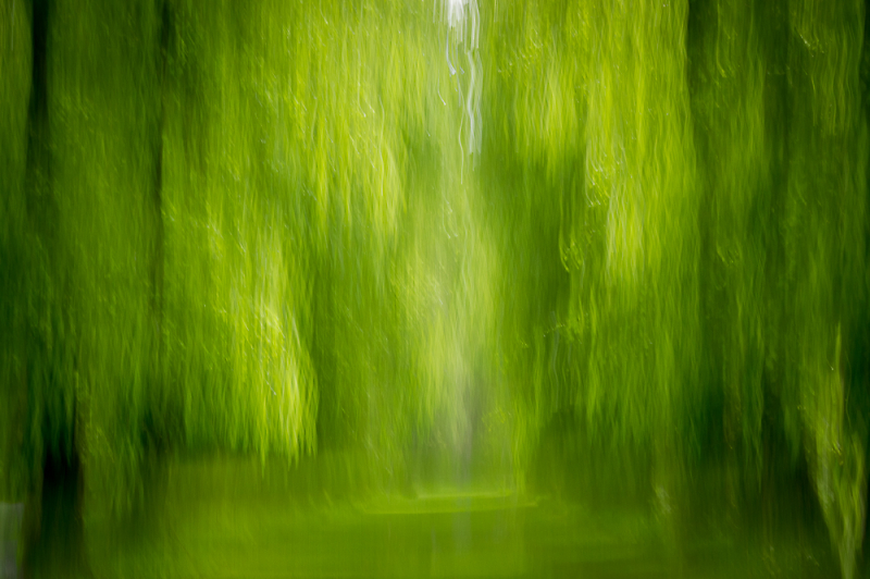 Comment Image