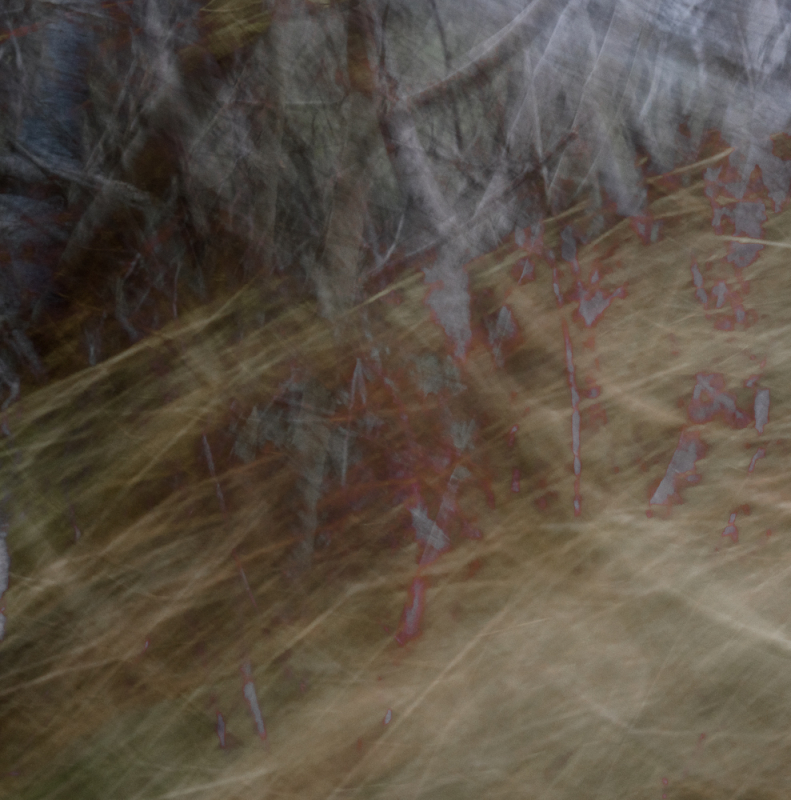 Comment Image
