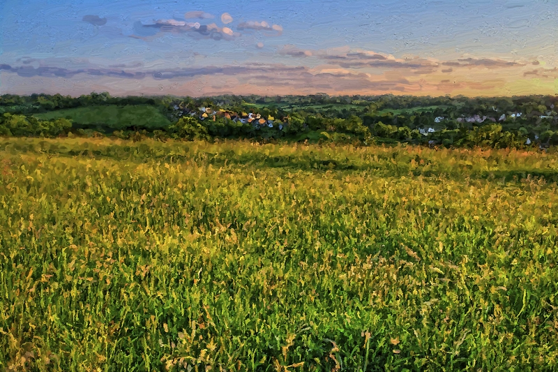 Comment Image