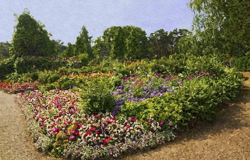 Comment Image