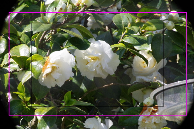 Comment Image