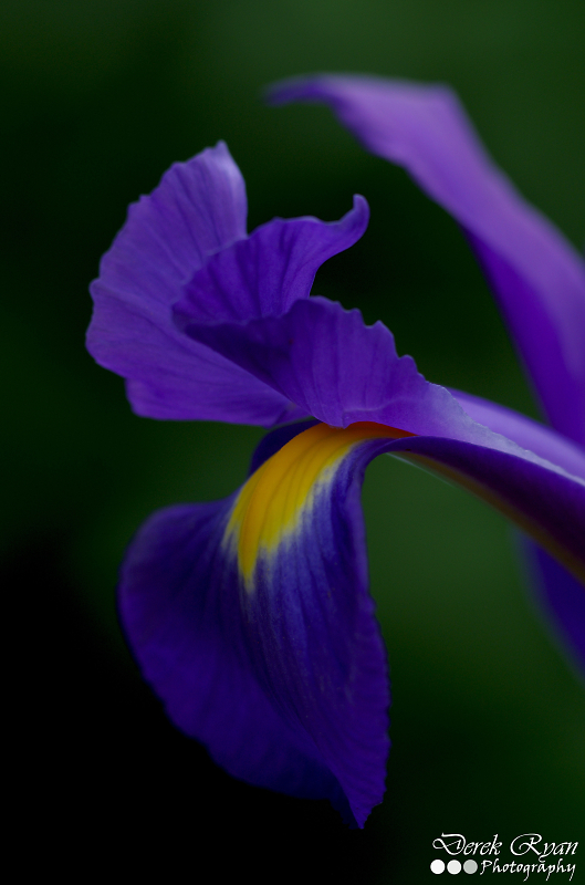 Comment Image