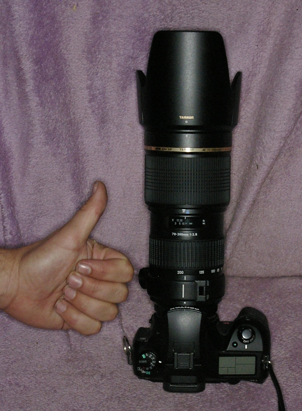 Comment Image