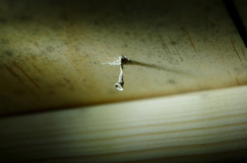 A Wasp Nest Right From The Beginning Image Heavy I Waited For Her To Leave More Materials Before Exploring Ways Of Getting A Camera Lens Into The Gap And How Provide Bit Lighting With Propped
