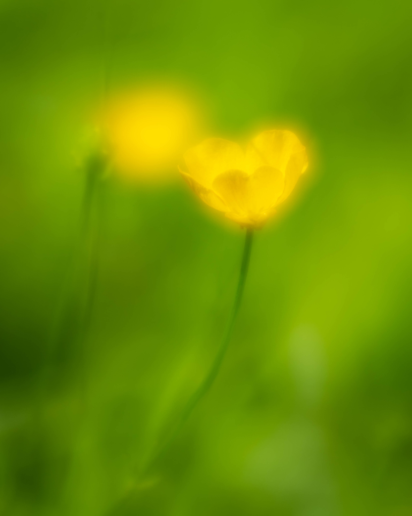 Comment Image