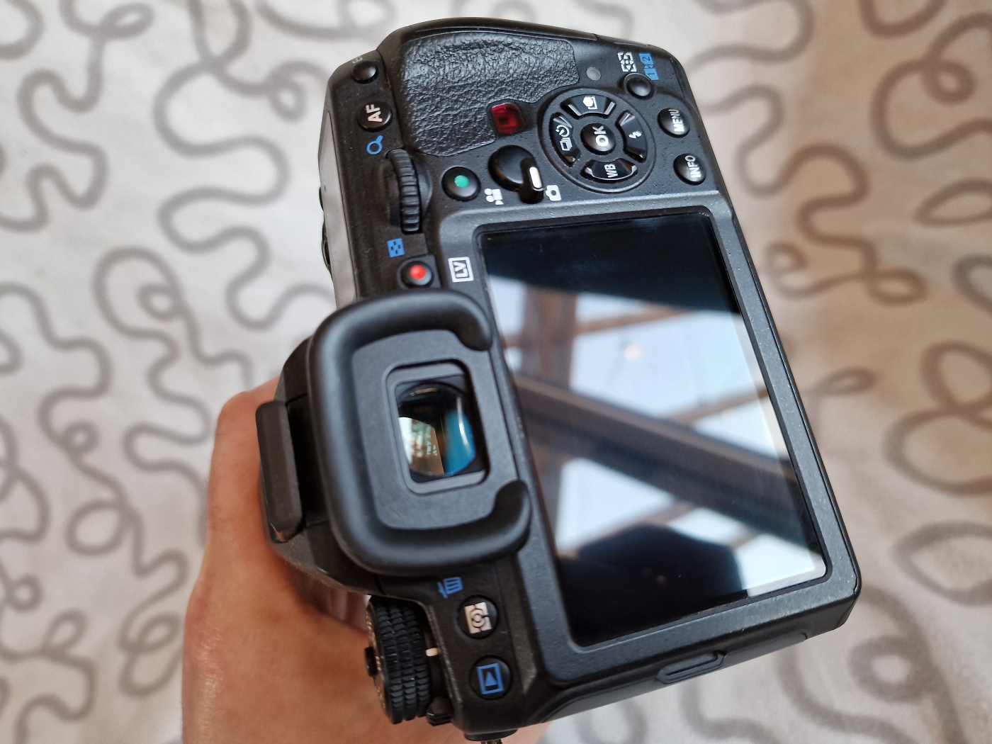 Forum Comment Photo