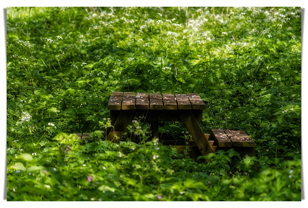Comment Image