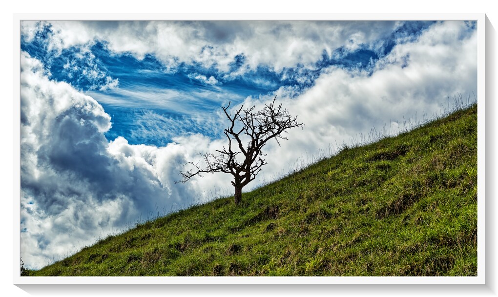 Comment Image