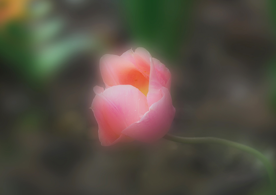 Comment Image