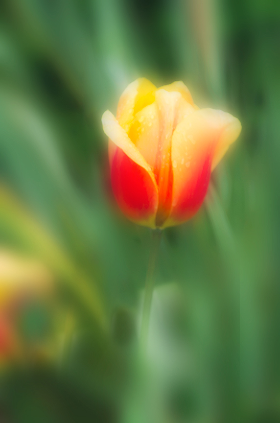 Comment Image