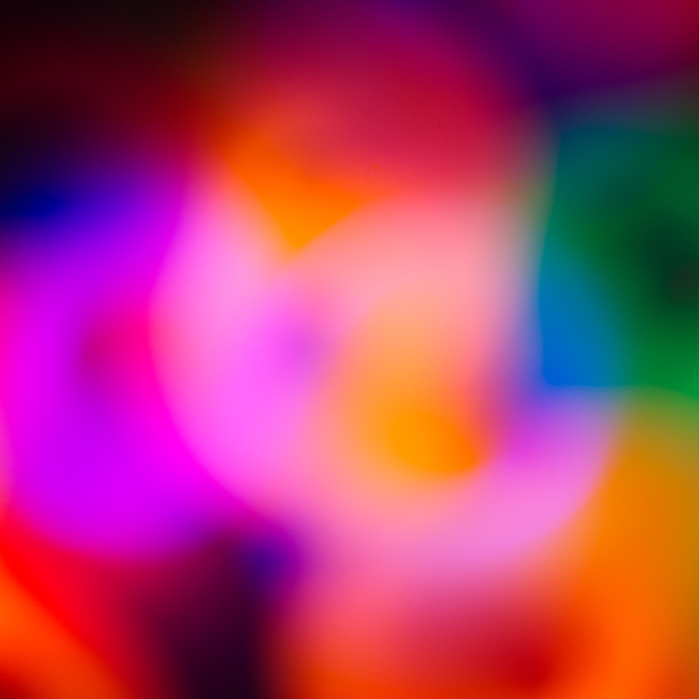 Forum Comment Photo