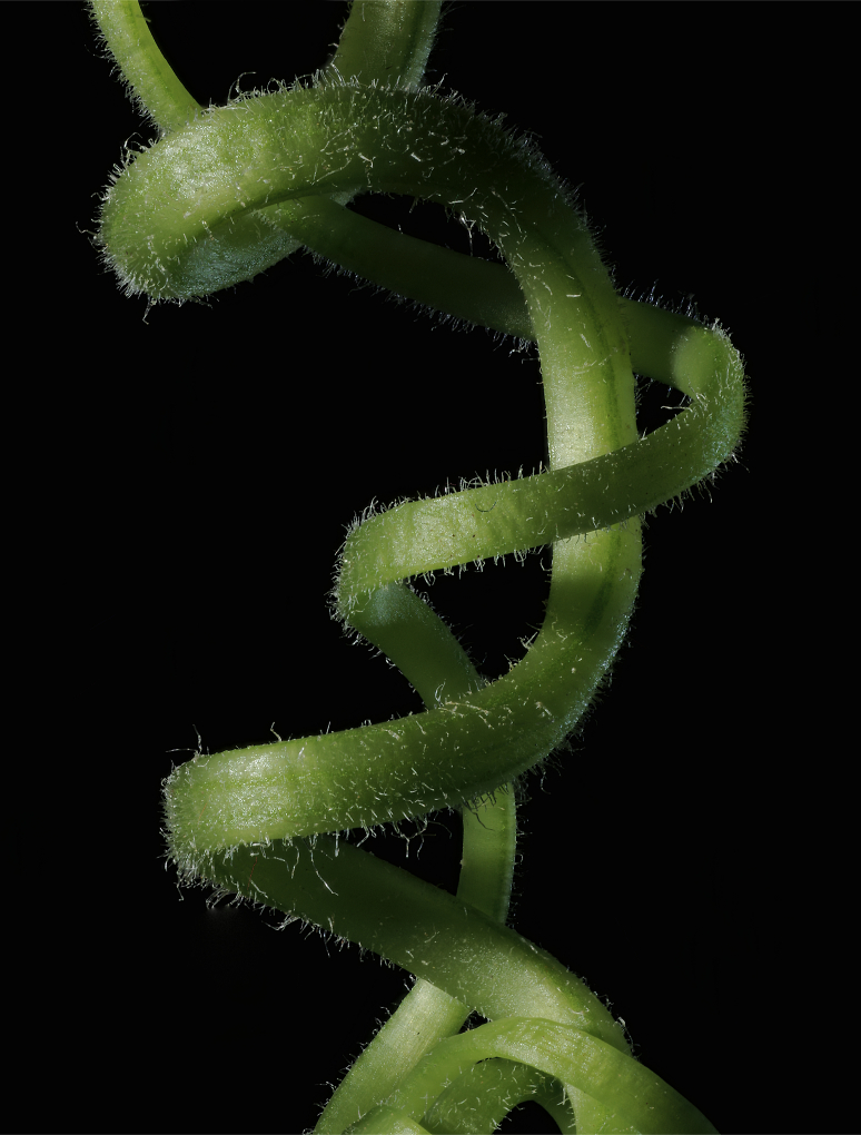Comment Image
