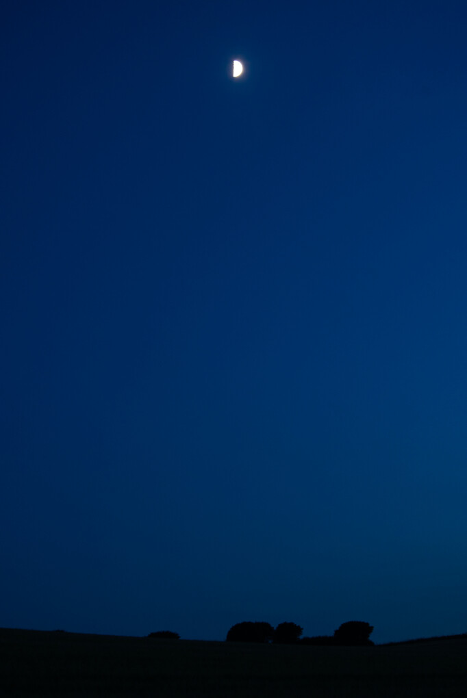 Comment Image