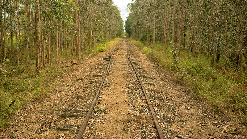 Comment Image