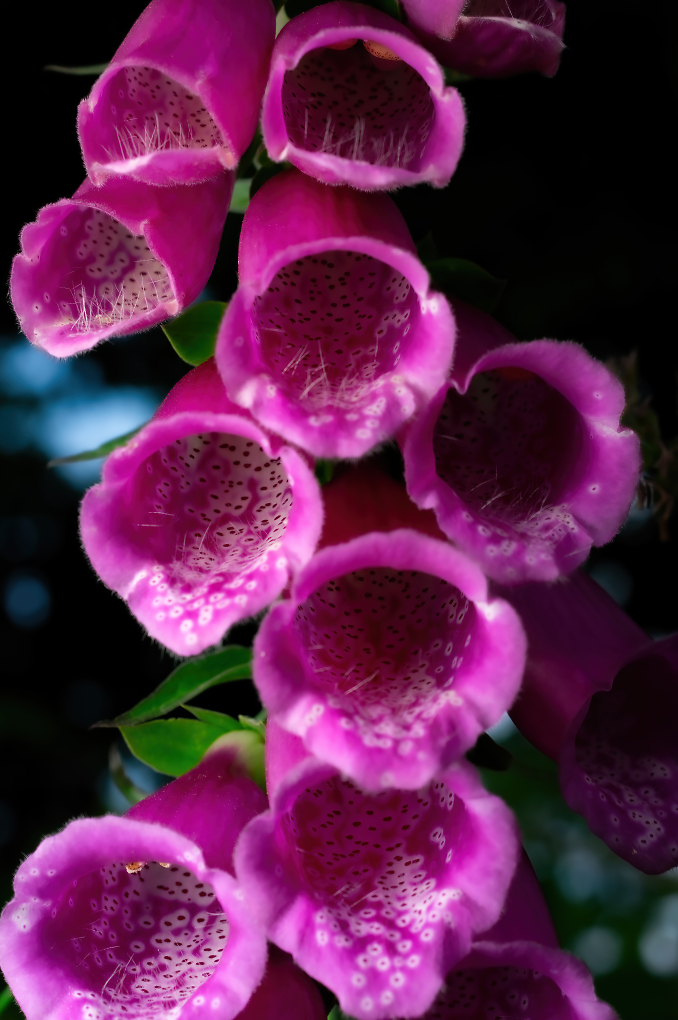 Comment Image