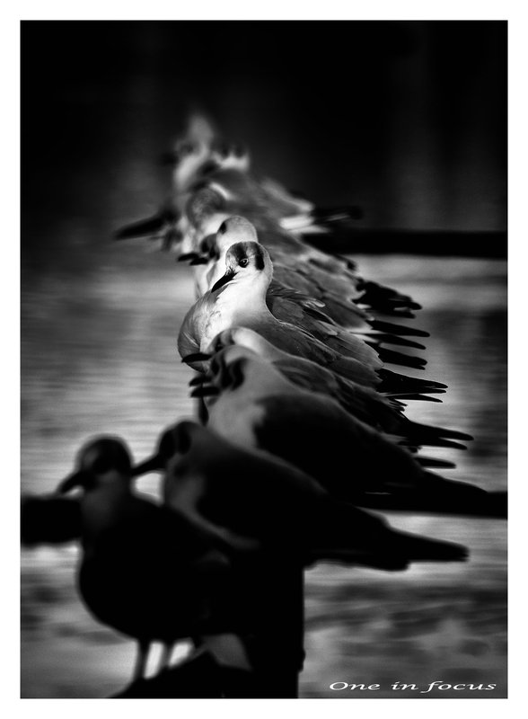 Comment Image