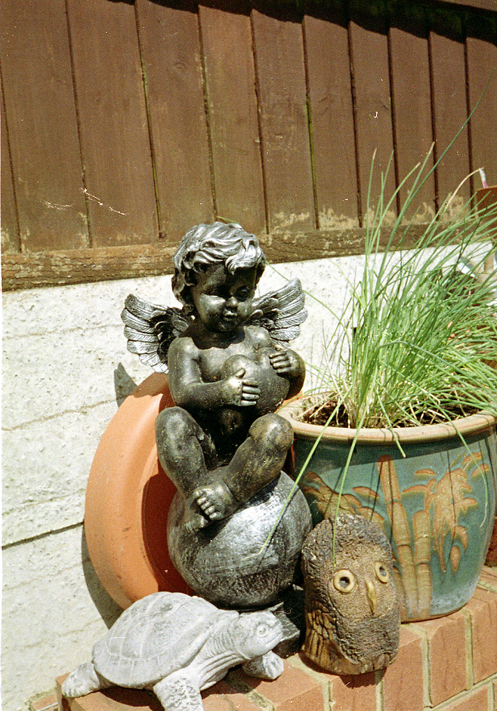 Comment Image