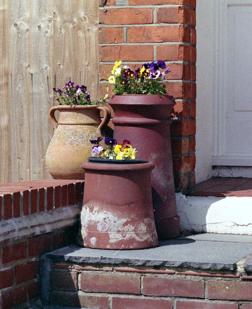 Comment Image