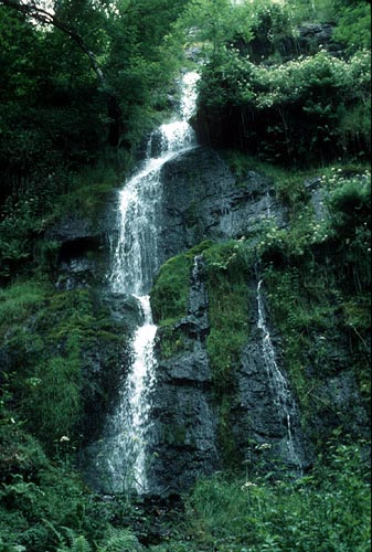 Canonteign Falls in Decon