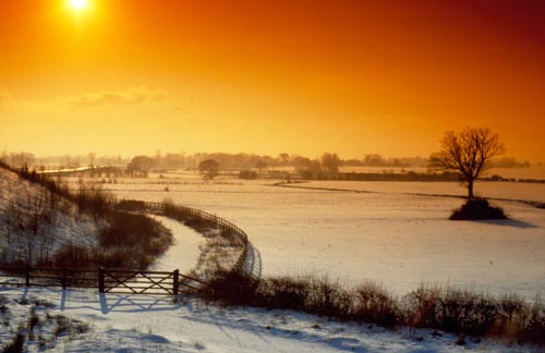 Winter landscape