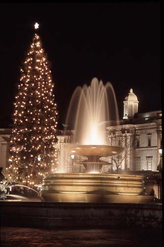 Fountain