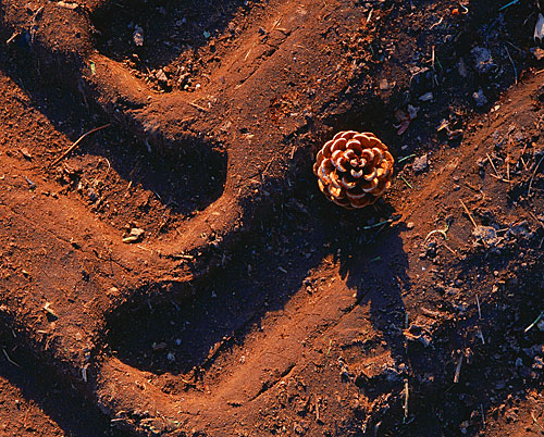 rust