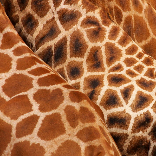 Patterns