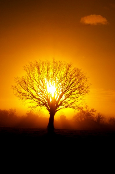 Sun Rise