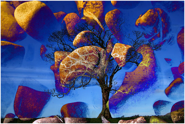 Tree of Stone