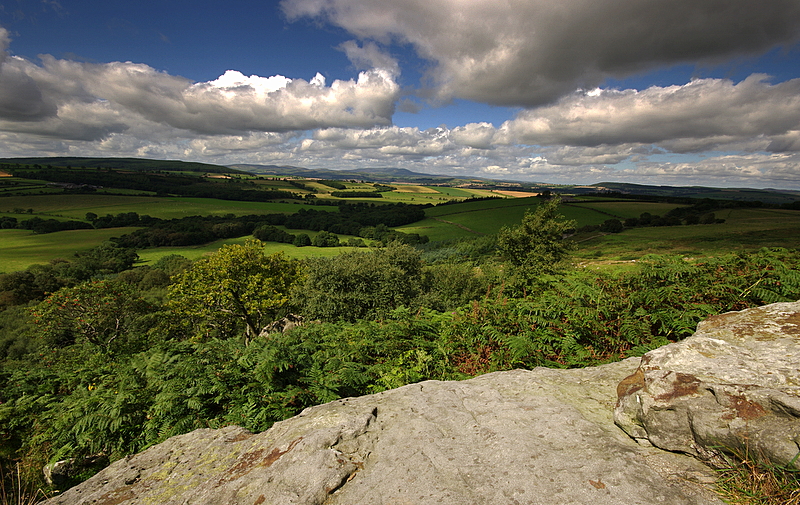 Dramatic Northumberland