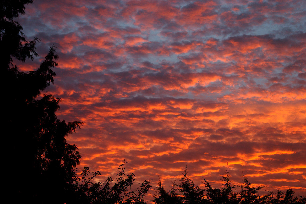 Sunset No.2