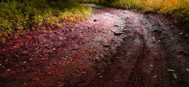 redtrack