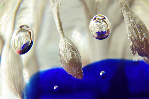 Glass Abstract