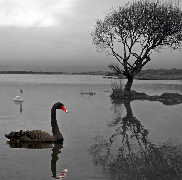 Still Waters Run Deep