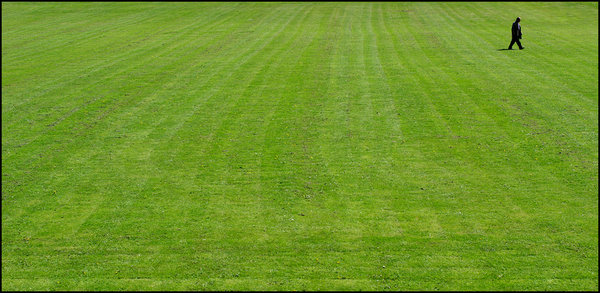 The Grass Is Always Greener On The Other Side