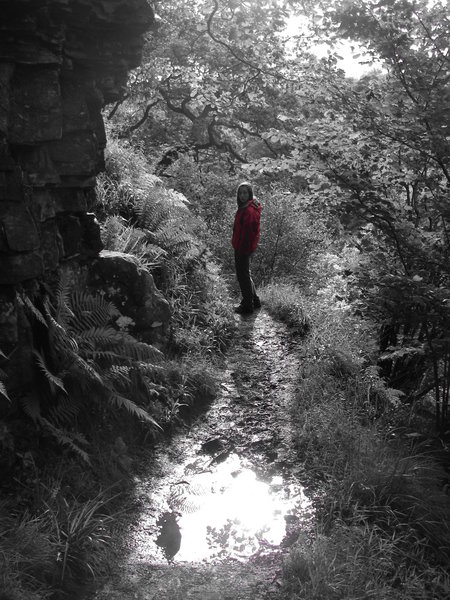 woods, walking and waterfalls