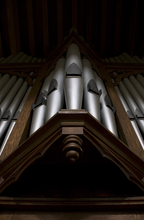 organ pipes