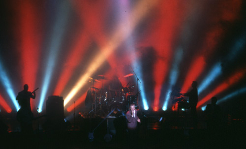 The Hollies in Concert
