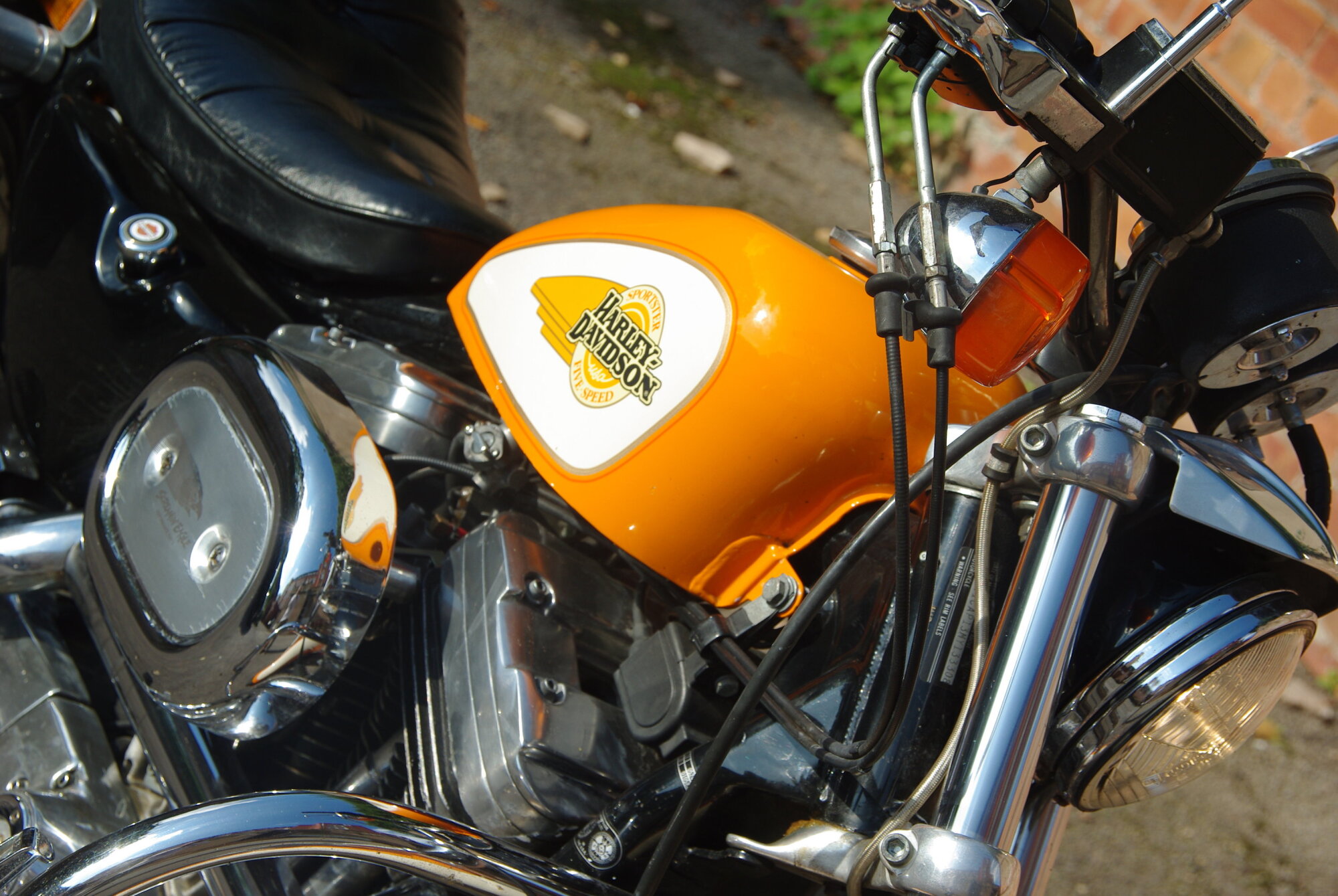 1991 harley Sportster