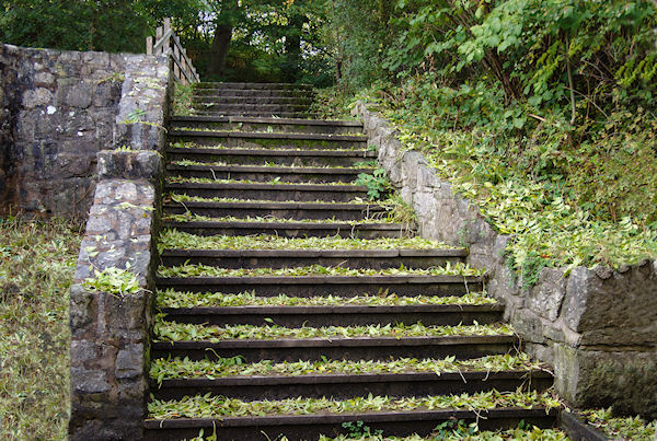 Autumn stairway